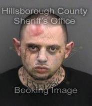Michael Garone Info, Photos, Data, and More About Michael Garone / Michael Garone Tampa Area