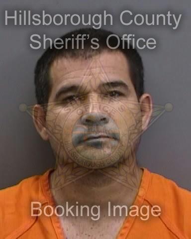 ALEXANDER ORTEGA CASTILLO Info, Photos, Data, and More About ALEXANDER ORTEGA CASTILLO / ALEXANDER ORTEGA CASTILLO Florida ALEXANDER ORTEGA CASTILLO Info, Photos, Data, and More About ALEXANDER ORTEGA CASTILLO / ALEXANDER ORTEGA CASTILLO Tampa Area
