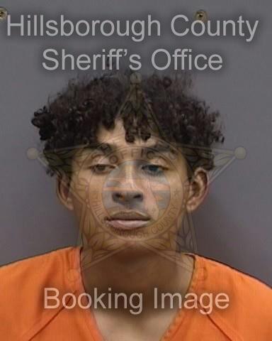 AMARI MARION AHANOTU Info, Photos, Data, and More About AMARI MARION AHANOTU / AMARI MARION AHANOTU Florida AMARI MARION AHANOTU Info, Photos, Data, and More About AMARI MARION AHANOTU / AMARI MARION AHANOTU Tampa Area