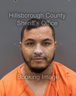 AMIR MOHAMMED ABUELENEN  Info, Photos, Data, and More About AMIR MOHAMMED ABUELENEN  / AMIR MOHAMMED ABUELENEN  Tampa Area