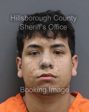 ANGEL ALFONSO GOMEZ-VERA  Info, Photos, Data, and More About ANGEL ALFONSO GOMEZ-VERA  / ANGEL ALFONSO GOMEZ-VERA  Tampa Area