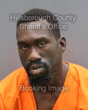 ERIK DAVID FENELON  Info, Photos, Data, and More About ERIK DAVID FENELON  / ERIK DAVID FENELON  Tampa Area