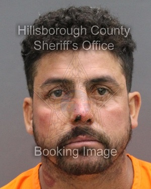 ERNESTO ALONSO ARAMBULA CHAVEZ  Info, Photos, Data, and More About ERNESTO ALONSO ARAMBULA CHAVEZ  / ERNESTO ALONSO ARAMBULA CHAVEZ  Tampa Area