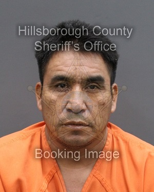 FAUSTINO BONIFACIO TEJEDA  Info, Photos, Data, and More About FAUSTINO BONIFACIO TEJEDA  / FAUSTINO BONIFACIO TEJEDA  Tampa Area