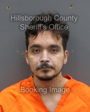 LUIS GUILLERMO MELENDEZ ORTEGA  Info, Photos, Data, and More About LUIS GUILLERMO MELENDEZ ORTEGA  / LUIS GUILLERMO MELENDEZ ORTEGA  Tampa Area