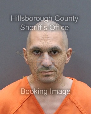 PANTELIS ROBERT MINA  Info, Photos, Data, and More About PANTELIS ROBERT MINA  / PANTELIS ROBERT MINA  Tampa Area