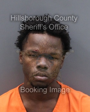 REGAN TERRACE HAMILTON  Info, Photos, Data, and More About REGAN TERRACE HAMILTON  / REGAN TERRACE HAMILTON  Tampa Area