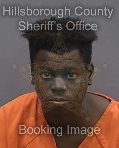 RODNEY KYRELL GIBSON Info, Photos, Data, and More About RODNEY KYRELL GIBSON / RODNEY KYRELL GIBSON Florida RODNEY KYRELL GIBSON Info, Photos, Data, and More About RODNEY KYRELL GIBSON / RODNEY KYRELL GIBSON Tampa Area