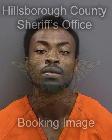 SAMPSON WILLIE LEE Info, Photos, Data, and More About SAMPSON WILLIE LEE / SAMPSON WILLIE LEE Florida SAMPSON WILLIE LEE Info, Photos, Data, and More About SAMPSON WILLIE LEE / SAMPSON WILLIE LEE Tampa Area