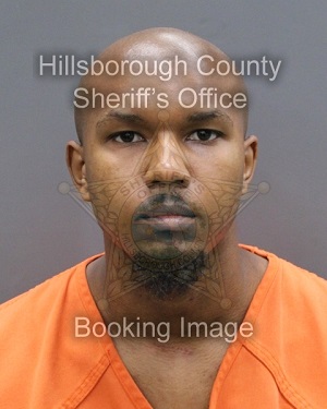 SETH BRANDEN HARRIGAN  Info, Photos, Data, and More About SETH BRANDEN HARRIGAN  / SETH BRANDEN HARRIGAN  Tampa Area