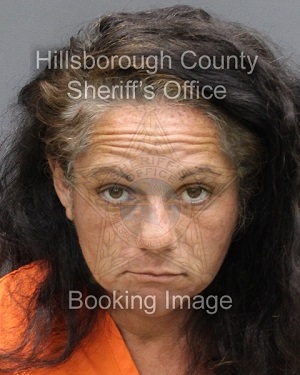 SOPHIA ROSE VERA  Info, Photos, Data, and More About SOPHIA ROSE VERA  / SOPHIA ROSE VERA  Tampa Area