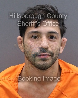 STEVEN ACEVEDO  Info, Photos, Data, and More About STEVEN ACEVEDO  / STEVEN ACEVEDO  Tampa Area