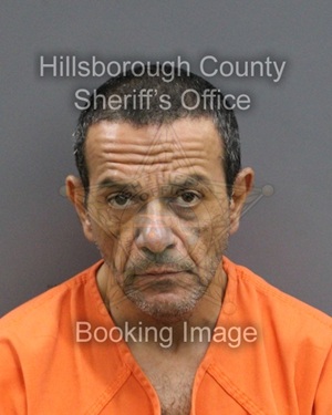 AHMED WASFY HASSAN EL QADAH  Info, Photos, Data, and More About AHMED WASFY HASSAN EL QADAH  / AHMED WASFY HASSAN EL QADAH  Tampa Area