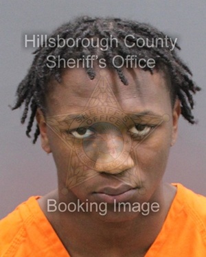 AMARION DISHAUN FORTENBERRY  Info, Photos, Data, and More About AMARION DISHAUN FORTENBERRY  / AMARION DISHAUN FORTENBERRY  Tampa Area
