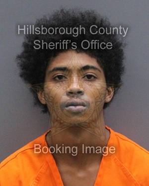 AMARI AHMAD FIELDS  Info, Photos, Data, and More About AMARI AHMAD FIELDS  / AMARI AHMAD FIELDS  Tampa Area