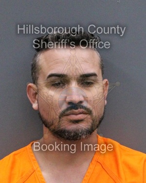 AMAURIS VARGAS PEREZ  Info, Photos, Data, and More About AMAURIS VARGAS PEREZ  / AMAURIS VARGAS PEREZ  Tampa Area