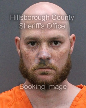 ANDREW DAVID WILSON  Info, Photos, Data, and More About ANDREW DAVID WILSON  / ANDREW DAVID WILSON  Tampa Area