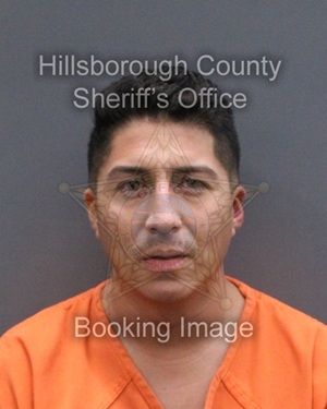 BRANDON JERRY PHANG  Info, Photos, Data, and More About BRANDON JERRY PHANG  / BRANDON JERRY PHANG  Tampa Area