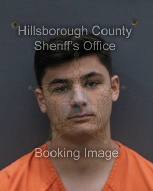 BRANDON WILLIAM ALESSI  Info, Photos, Data, and More About BRANDON WILLIAM ALESSI  / BRANDON WILLIAM ALESSI  Tampa Area