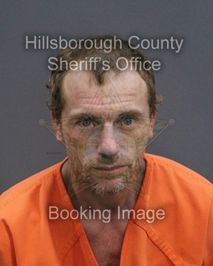 CASEY LEIGH WILCOX  Info, Photos, Data, and More About CASEY LEIGH WILCOX  / CASEY LEIGH WILCOX  Tampa Area