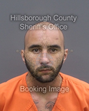 CODY CHARLES MCCOY  Info, Photos, Data, and More About CODY CHARLES MCCOY  / CODY CHARLES MCCOY  Tampa Area