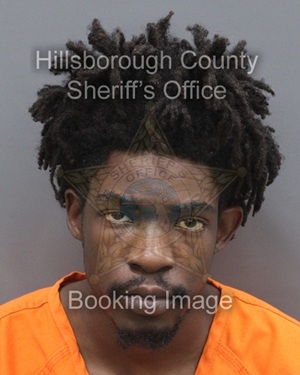 DACARI MONTELL MITCHELL  Info, Photos, Data, and More About DACARI MONTELL MITCHELL  / DACARI MONTELL MITCHELL  Tampa Area