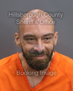 DAVID VAN GRIFFITH  Info, Photos, Data, and More About DAVID VAN GRIFFITH  / DAVID VAN GRIFFITH  Tampa Area
