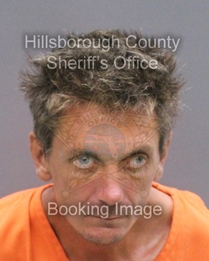 DAVID WILLIE SCHAEFER  Info, Photos, Data, and More About DAVID WILLIE SCHAEFER  / DAVID WILLIE SCHAEFER  Tampa Area