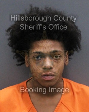 DAYSHAUN EMMANUEL MORRIS  Info, Photos, Data, and More About DAYSHAUN EMMANUEL MORRIS  / DAYSHAUN EMMANUEL MORRIS  Tampa Area