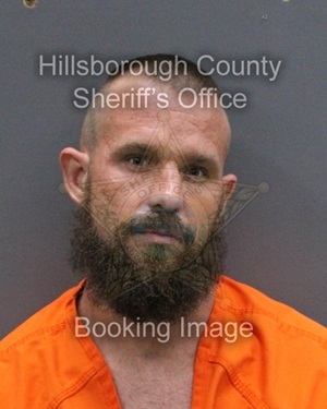 DENNY COLE SCHOFIELD  Info, Photos, Data, and More About DENNY COLE SCHOFIELD  / DENNY COLE SCHOFIELD  Tampa Area