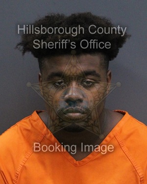 DESMOND MARQUIS LACEY  Info, Photos, Data, and More About DESMOND MARQUIS LACEY  / DESMOND MARQUIS LACEY  Tampa Area