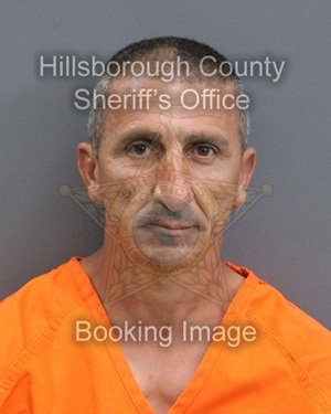 ELIS FERO  Info, Photos, Data, and More About ELIS FERO  / ELIS FERO  Tampa Area