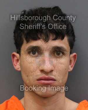 HEISER ARZUAGA ANAYA  Info, Photos, Data, and More About HEISER ARZUAGA ANAYA  / HEISER ARZUAGA ANAYA  Tampa Area