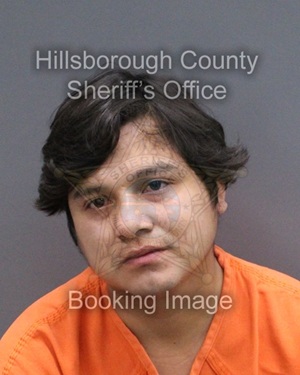 JAMIR JOLHAUS MOLINA SANTILLAN  Info, Photos, Data, and More About JAMIR JOLHAUS MOLINA SANTILLAN  / JAMIR JOLHAUS MOLINA SANTILLAN  Tampa Area
