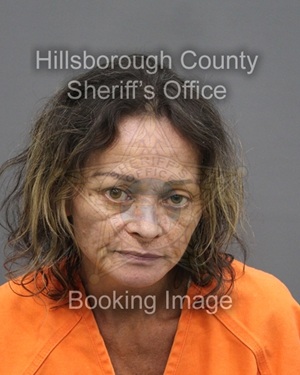 JEANNE LYNN PIREZ  Info, Photos, Data, and More About JEANNE LYNN PIREZ  / JEANNE LYNN PIREZ  Tampa Area