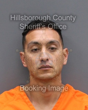 JOSEPH MICHAEL LAVIN  Info, Photos, Data, and More About JOSEPH MICHAEL LAVIN  / JOSEPH MICHAEL LAVIN  Tampa Area