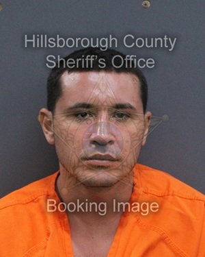 KEVIN GIRGIS  Info, Photos, Data, and More About KEVIN GIRGIS  / KEVIN GIRGIS  Tampa Area