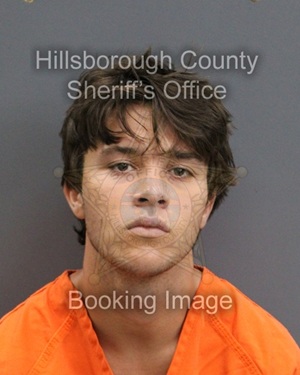 MASON DREW RITENAUER  Info, Photos, Data, and More About MASON DREW RITENAUER  / MASON DREW RITENAUER  Tampa Area