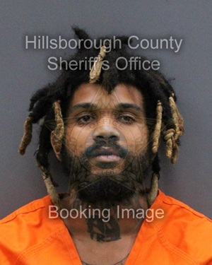 MAURICE MACK  Info, Photos, Data, and More About MAURICE MACK  / MAURICE MACK  Tampa Area