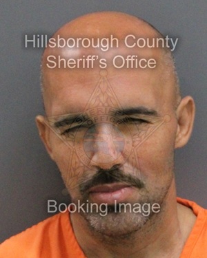 MICHAEL DAVID VAGIANDERIS  Info, Photos, Data, and More About MICHAEL DAVID VAGIANDERIS  / MICHAEL DAVID VAGIANDERIS  Tampa Area