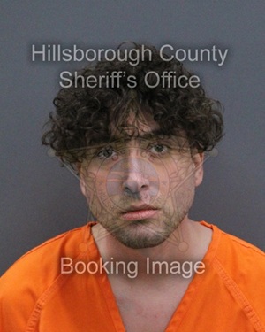 MICHAEL FRANCIS DE SALVO  Info, Photos, Data, and More About MICHAEL FRANCIS DE SALVO  / MICHAEL FRANCIS DE SALVO  Tampa Area