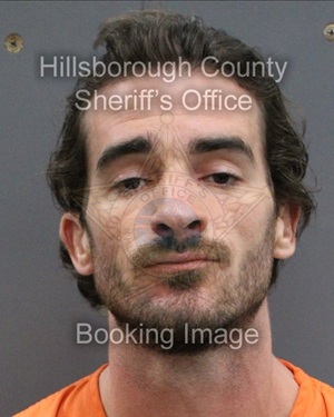 MICHAEL JAMES HAMMER  Info, Photos, Data, and More About MICHAEL JAMES HAMMER  / MICHAEL JAMES HAMMER  Tampa Area