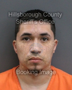 MICHAEL OLIVEROS  Info, Photos, Data, and More About MICHAEL OLIVEROS  / MICHAEL OLIVEROS  Tampa Area