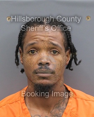 MICHAEL RASHAWN HAMMONDS  Info, Photos, Data, and More About MICHAEL RASHAWN HAMMONDS  / MICHAEL RASHAWN HAMMONDS  Tampa Area