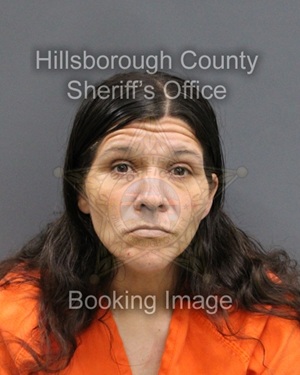 MICHELLE LEE ROJAS  Info, Photos, Data, and More About MICHELLE LEE ROJAS  / MICHELLE LEE ROJAS  Tampa Area