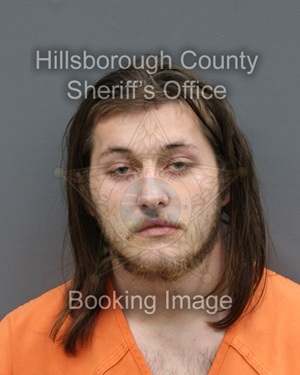 MIKALE EDWARD DATTOLI  Info, Photos, Data, and More About MIKALE EDWARD DATTOLI  / MIKALE EDWARD DATTOLI  Tampa Area