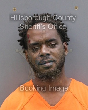 RANDOLPH ASHLEY  Info, Photos, Data, and More About RANDOLPH ASHLEY  / RANDOLPH ASHLEY  Tampa Area