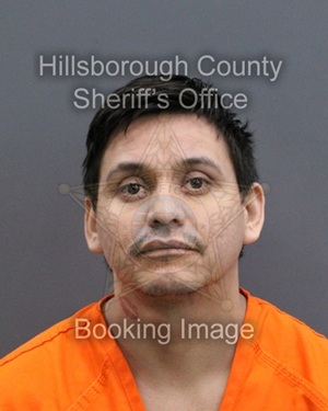 ROMAN OLMOS FLORES  Info, Photos, Data, and More About ROMAN OLMOS FLORES  / ROMAN OLMOS FLORES  Tampa Area