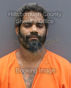 TORRANCE TYRONE SHEPARD  Info, Photos, Data, and More About TORRANCE TYRONE SHEPARD  / TORRANCE TYRONE SHEPARD  Tampa Area