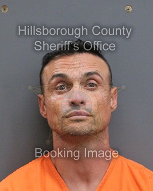 WILLIAM DARIER  Info, Photos, Data, and More About WILLIAM DARIER  / WILLIAM DARIER  Tampa Area